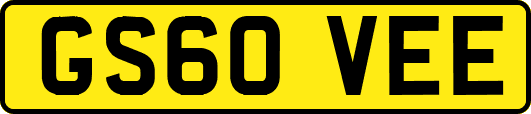 GS60VEE
