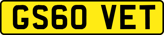 GS60VET