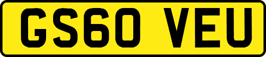 GS60VEU