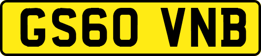 GS60VNB