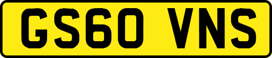 GS60VNS