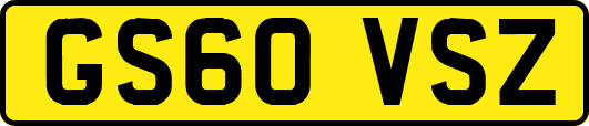 GS60VSZ