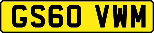 GS60VWM