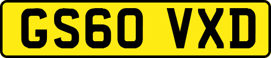 GS60VXD