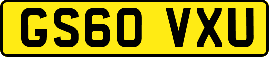 GS60VXU