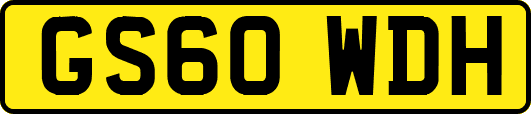 GS60WDH