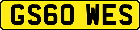 GS60WES