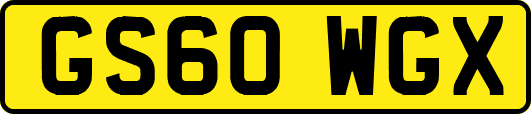 GS60WGX
