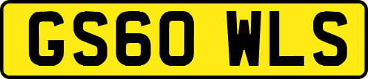 GS60WLS
