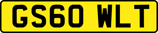 GS60WLT