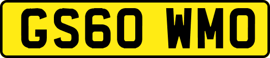 GS60WMO