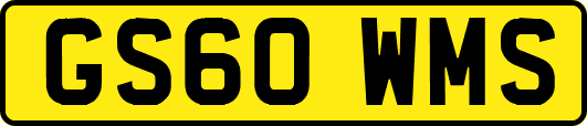 GS60WMS