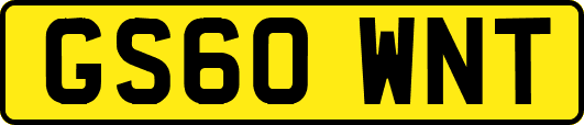 GS60WNT