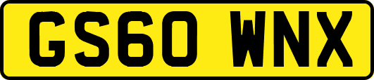 GS60WNX