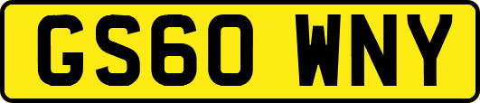 GS60WNY