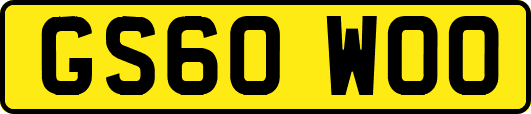 GS60WOO