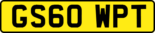 GS60WPT