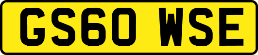 GS60WSE