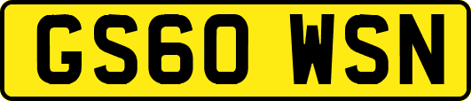 GS60WSN