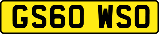 GS60WSO