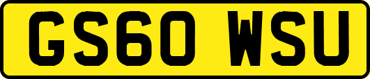 GS60WSU