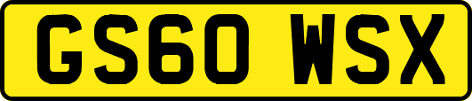 GS60WSX