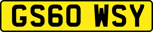 GS60WSY