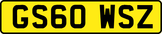 GS60WSZ