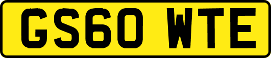 GS60WTE