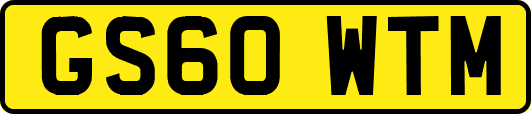 GS60WTM