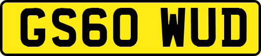 GS60WUD