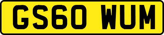 GS60WUM