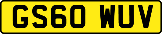 GS60WUV