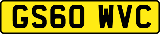 GS60WVC