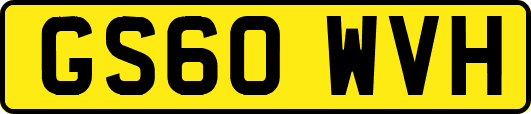 GS60WVH