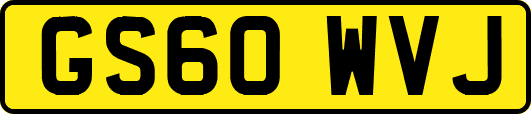 GS60WVJ