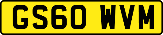 GS60WVM