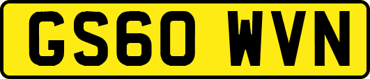 GS60WVN