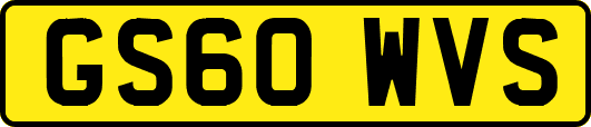 GS60WVS
