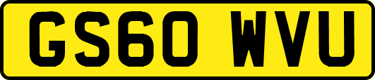 GS60WVU