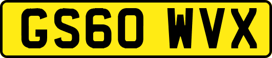 GS60WVX