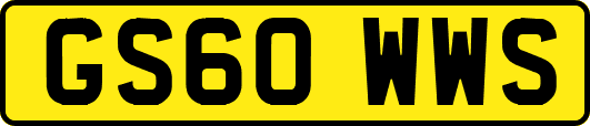 GS60WWS