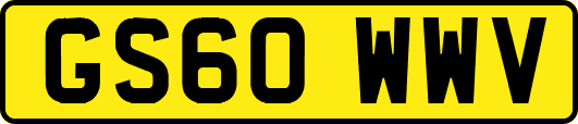 GS60WWV