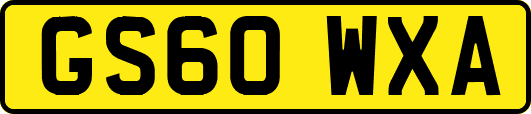 GS60WXA