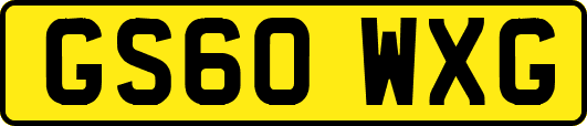 GS60WXG