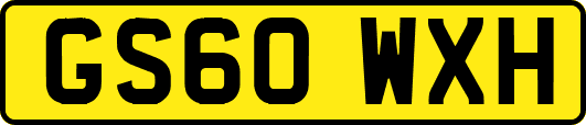 GS60WXH