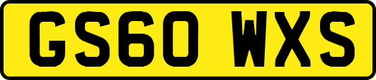 GS60WXS