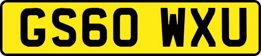 GS60WXU