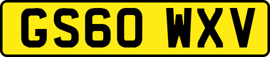 GS60WXV