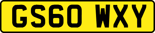 GS60WXY